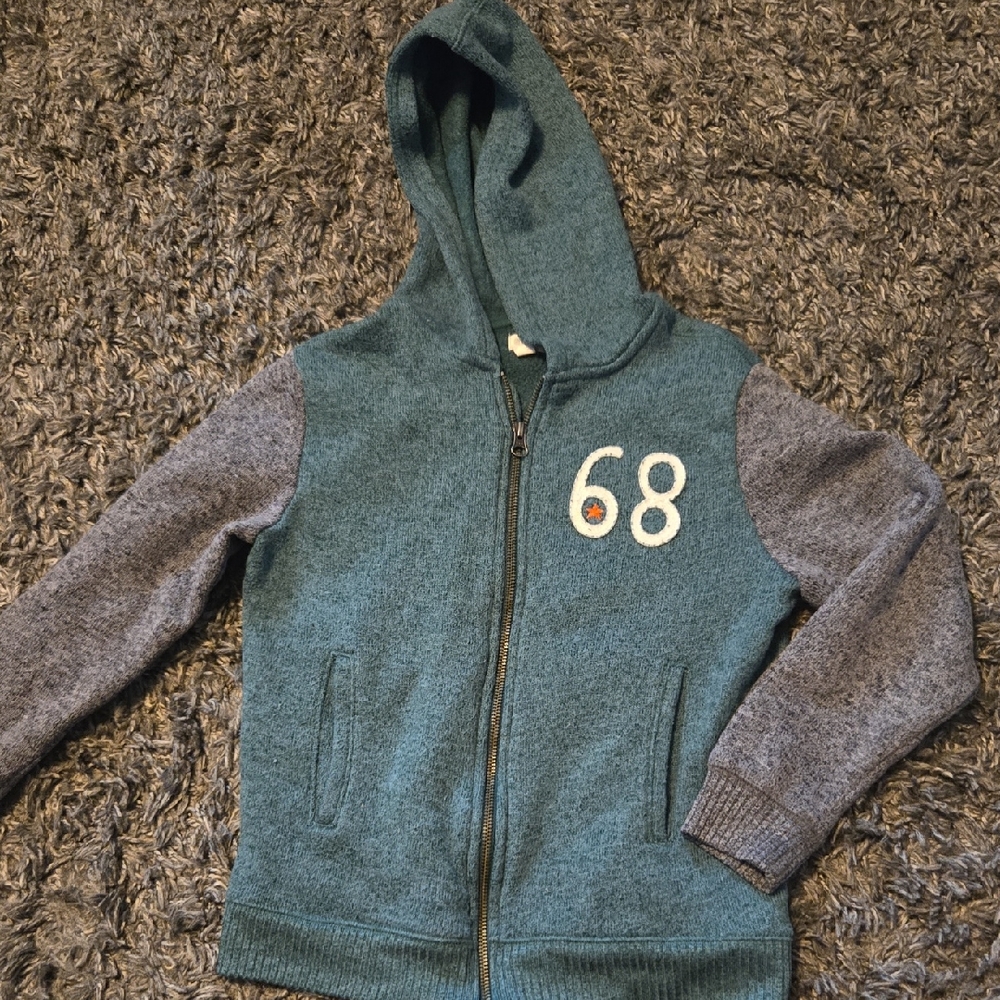 Gymboree Blue and Gray Zip-Up Hoodie